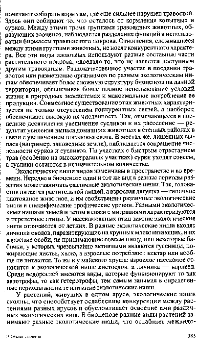 Экологические ниши видов изменчивы в пространстве и во времени. Нередко в биоценозе один и тот же вид в разные периоды развития может занимать различные экологические ниши. Так, головастик питается растительной пищей, а взрослая лягушка — типичное плотоядное животное, и им свойственны различные экологические ниши и специфические трофические уровни. Разными экологическими нишами зимой и летом в связи с миграциями характеризуются и перелетные птицы. У насекомоядных птиц зимние экологические ниши отличаются от летних. В разные экологические ниши входят личинки оводов, паразитирующие на крупных млекопитающих, и их взрослые особи, не принимающие совсем пищу, или некоторые бабочки, у которых чрезвычайно активными являются гусеницы, пожирающие листья, хвою, а взрослые потребляют нектар или вообще не питаются. То же и у майского хруща: взрослое насекомое относится к экологической нише листоедов, а личинка — корнеед. Среди водорослей имеются виды, которые функционируют то как автотрофы, то как гетеротрофы, тем самым занимая в определенные периоды жизни те или иные экологические ниши.