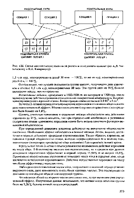 Схема шестого исследования за ростом и поведением цыплят (по А.Л. Чижевскому и В.А. Кимрякову)