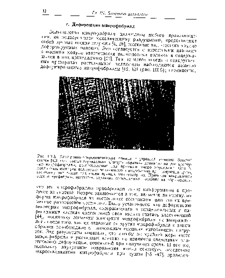 Электронно-микроскопические снимки внутренней ламелли боковой стенки [43]. Ось клетки вертикальна. Следует обратить внимание на две изогнутые микрофибриллы, расположенные под прямыми микрофибриллами. Они не могли быть изогнуты вследствие механического воздействия при получении среза, поскольку они лежат под слоем прямых микрофибрилл. Причиной искривления этих микрофибрилл являются, вероятно, специфические условия их образования.