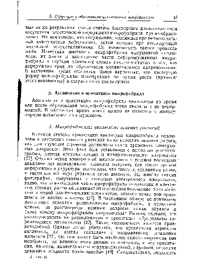 Ассоциация и ориентация микрофибрилл целлюлозы во время или после образования микрофибрилл тесно связаны с их деформацией. В настоящее время почти ничего не известно о молекулярном механизме этих процессов.