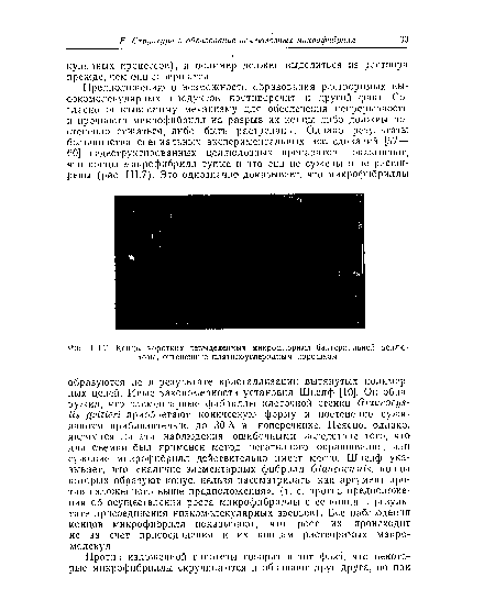 Концы коротких невыделенных микрофкбрилл бактериальной целлюлозы, оттененные платиноуглеродным порошком.