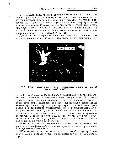 Дополнительное агрегирование микрокристаллов (гель, высушенный