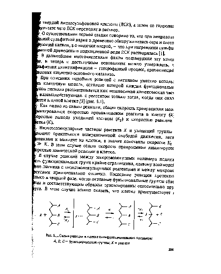 Схеме реакции в клетке полифункционального полимера