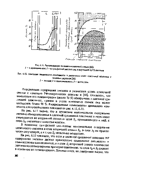 Основные химические компоненты в различных слоях клеточкой оболочки у