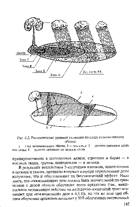 Распределение уровней радиации по следу радиоактивного