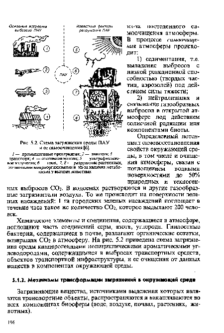 Схема загрязнения среды ПАУ и ее самоочищения [6]