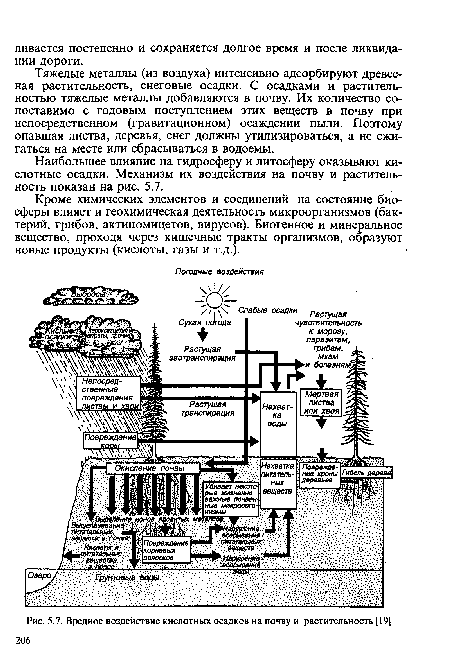 Вредное воздействие кислотных осадков на почву и растительность [19] 206