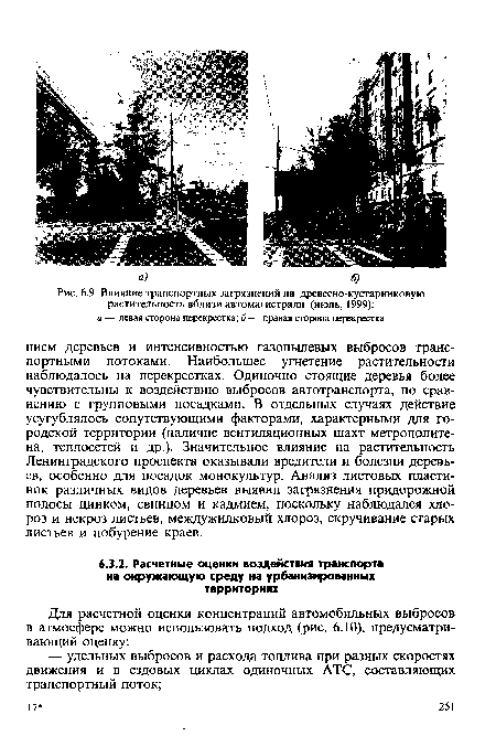 Влияние транспортных загрязнений на древесно-кустарниковую растительность вблизи автомагистрали (июль, 1999)