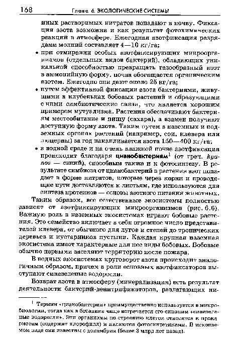 Таким образом, все естественные экосистемы полностью зависят от азотфиксирующих микроорганизмов (рис. 6.6). Важную роль в наземных экосистемах играют бобовые растения. Это семейство включает в себя огромное число представителей клевера, от обычного для лугов и степей до тропических деревьев и кустарников пустыни. Каждая крупная наземная экосистема имеет характерные для нее виды бобовых. Бобовые обычно первыми заселяют территорию после пожара.