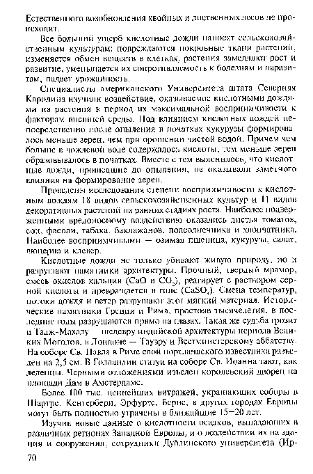 Специалисты американского Университета штата Северная Каролина изучили воздействие, оказываемое кислотными дождями на растения в период их максимальной восприимчивости к факторам внешней среды. Под влиянием кислотных дождей непосредственно после опыления в початках кукурузы формировалось меньше зерен, чем при орошении чистой водой. Причем чем больше в дождевой воде содержалось кислоты, тем меньше зерен образовывалось в початках. Вместе с тем выяснилось, что кислотные дожди, прошедшие до опыления, не оказывали заметного влияния на формирование зерен.