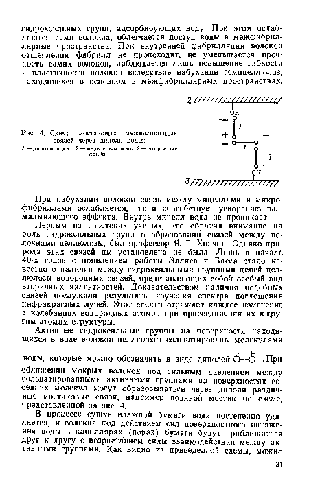 Схема мостиковых межволоконных связей через диполи воды