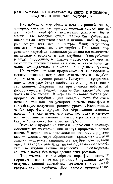 На клубне первыми прорастают самые здоровые и мощные глазки; когда они отламываются, клубень теряет самые лучшие ростки. Следующие прорастающие глазки уже будут слабее, да и прорастут они с запозданием. Сохранить же при посадке побеги, образовавшиеся в темноте, очень трудно; кроме того, они дают слабые стебли. Между тем воспользоваться уже проросшими клубнями для посадки было бы очень полезно, так как это ускоряет всходы картофеля и способствует получению раннего урожая. Надо только, чтобы картофель пророс без образования длинных плетей. Мы уже знаем, что здесь все дело в свете,— его отсутствие заставляет побеги разрастаться и вытягиваться, на свету же этого не будет.