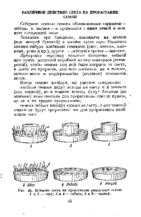 Чтобы увидеть рисунок для каждого верного утверждения поставьте 1 для каждого неверного 0 география