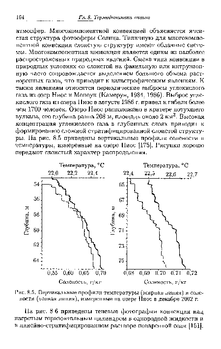 Вертикальные профили температуры (жирная линия) и солености (тонкая линия), измеренные на озере Ниос в декабре 2002 г.