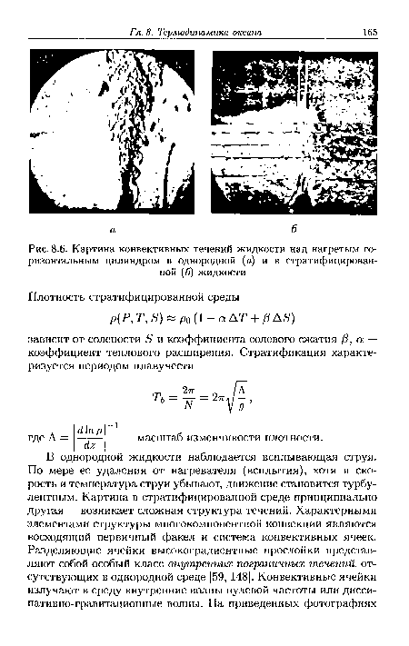 Картина конвективных течений жидкости над нагретым горизонтальным цилиндром в однородной (а) и в стратифицированной (б) жидкости