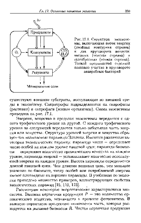 Структура экосистемы, включающая поток энергии (двойная контурная стрелка) и два круговорота веществ