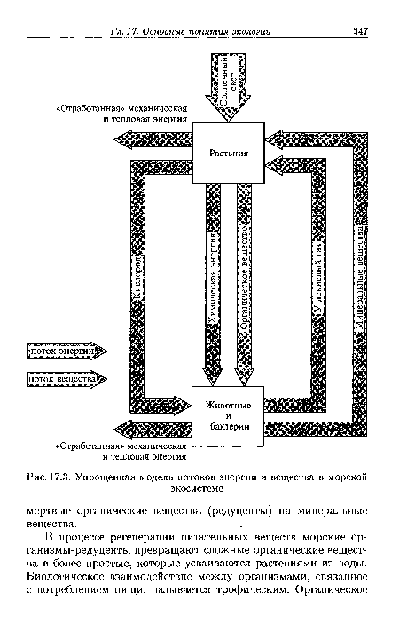 Упрощенная модель потоков энергии и вещества в морской