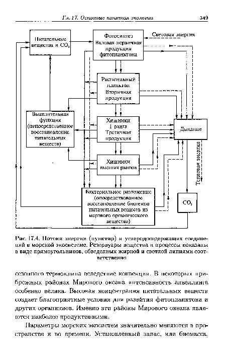 Потоки энергии (пунктир) и углеродосодержащих соединений в морской экосистеме. Резервуары вещества и процессы показаны в виде прямоугольников, обведенных жирной и светлой линиями соответственно