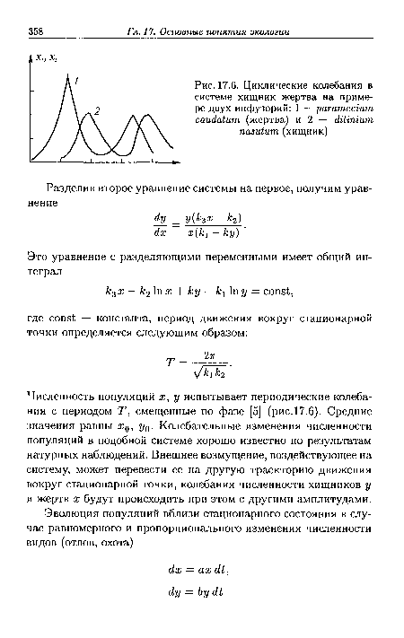 Циклические колебания в системе хищник-жертва на примере двух инфузорий