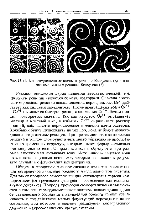 Концентрационные волны в реакции Белоусова (а) и вложенные волны в реакции Белоусова (б)