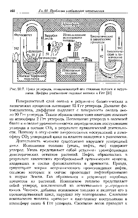 Цикл углерода, показывающий его главные потоки и источники. Цифры указывают годовые потоки в Ггт [31]