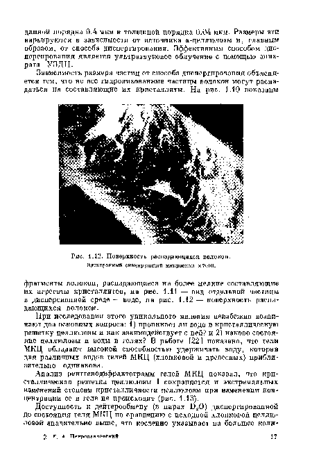 Поверхность распадающихся волокон. Электронный сканирующий микроскоп Х7000.