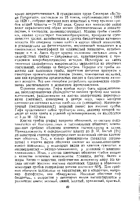 Строение мицелия. Гифы грибов могут быть одноклеточными, несептированными (большинство низших грибов) или многоклеточными, разделенными на клетки поперечными перегородками (септами), имеющими в центре пору, через которую цитоплазма соседних клеток сообщается (ценоцитоз). Многоклеточный (септированный) мицелий имеют все высшие грибы. Гифа представляет собой трубчатую нить, диаметр которой зависит от вида гриба и условий культивирования; он колеблется от 3 до 10—12 мкм.