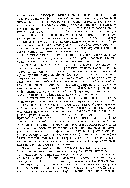 В клетках гиф содержится по одному или несколько ядер. У некоторых фикомицетов в клетке спорангиеносца может содержаться много десятков и даже сотни ядер. Многоядерность наблюдается и в конидненосцах аскомицетов, у базидиомицетов она менее выражена. Строение ядра у грибов типично для эукариотов растительных организмов. Размеры ядра 2—3 мкм, у мукоровых мелкие ядра—1 —1,5 мкм, форма округлая. Ядро покрыто оболочкой — нуклеолеммой — и имеет ядрышко и хро-матиновое вещество или хроматиновую нить, распадающуюся на определенной возрастной стадии клетки на присущее каждому роду постоянное число хромосом. Наличие ядерной оболочки у ядер эукариотных микроорганизмов (грибы и водоросли) — отличительный признак структуры их клеток. Нуклеоиды прокариотных микроорганизмов лишены оболочек, а хроматиновые нити не распадаются на хромосомы.