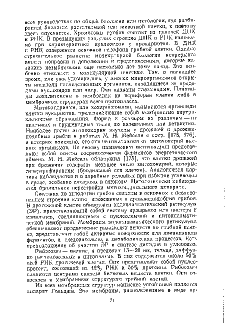 Митохондриями, или хондриосомами, называются органоиды клетки эукариотов, представляющие собой мембранные внутриклеточные образования. Форма и размеры их различны — от овальных и грушевидных телец до нитевидных или ветвистых. Наиболее полно митохондрии изучены у дрожжей и дрожжеподобных грибов в работах М. Н. Мейселя с сотр. [175, 176], в которых показано, что они не отличаются от митохондрий высших организмов. По своему назначению митохондрии представляют собой центры сосредоточения ферментов энергетического обмена. М. Н. Мейсель обнаружил [175], что клетки дрожжей при брожении содержат меньшее число митохондрий, которые гипертрофированы (бродильный тип клеток). Аналогичная картина наблюдается и в аэробных условиях при избытке углеводов в среде, особенно сахарозы и глюкозы. Цитологически наблюдается бродильная перестройка митохондриального аппарата.