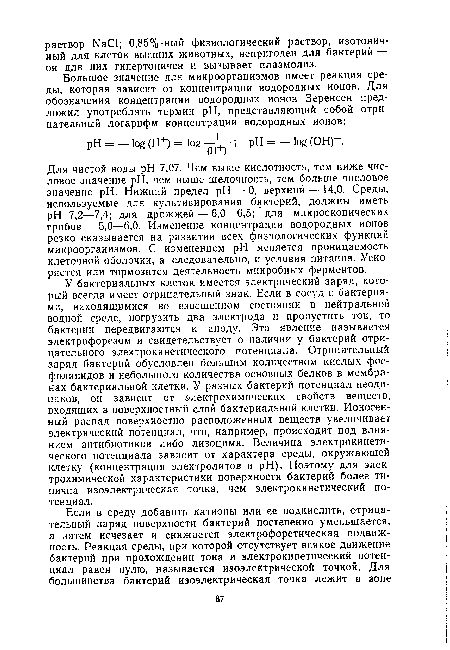 У бактериальных клеток имеется электрический заряд, который всегда имеет отрицательный знак. Если в сосуд с бактериями, находящимися во взвешенном состоянии в нейтральной водной среде, погрузить два электрода и пропустить ток, то бактерии передвигаются к аноду. Это явление называется электрофорезом и свидетельствует о наличии у бактерий отрицательного электрокинетического потенциала. Отрицательный заряд бактерий обусловлен большим количеством кислых фосфолипидов и небольшого количества основных белков в мембранах бактериальной клетки. У разных бактерий потенциал неодинаков, он зависит от электрохимических свойств веществ, входящих в поверхностный слой бактериальной клетки. Ионогенный распад поверхностно расположенных веществ увеличивает электрический потенциал, что, например, происходит под влиянием антибиотиков либо лизоцима. Величина электрокинетического потенциала зависит от характера среды, окружающей клетку (концентрация электролитов и pH). Поэтому для электрохимической характеристики поверхности бактерий более типична изоэлектрическая точка, чем электрокинетический потенциал.