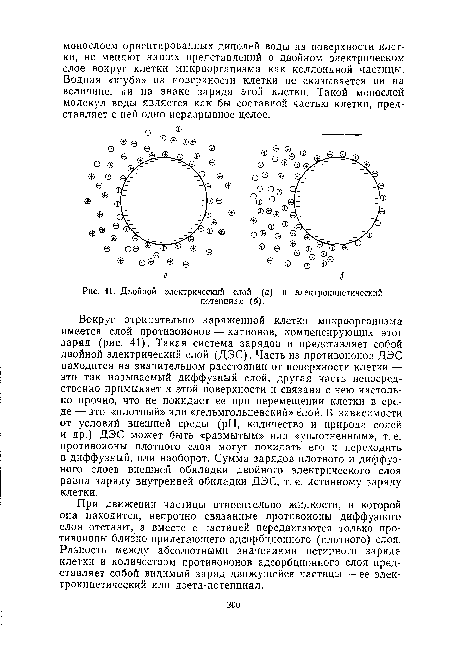 Двойной электрический слой (а) и злектрокинетический