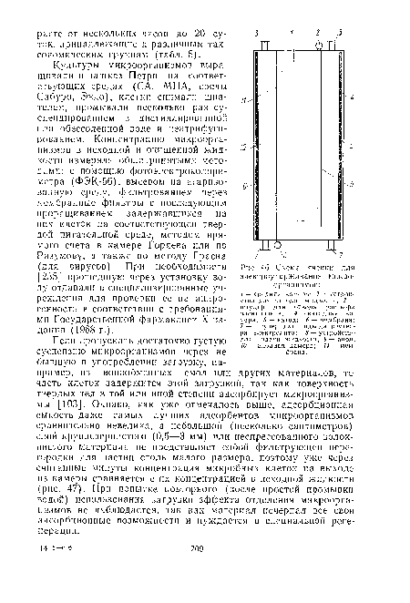 Схема ячейки для электрсудерживания микроорганизмов