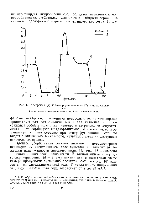 Адсорбция (/) и электроудерживание (2) микроорганизмов