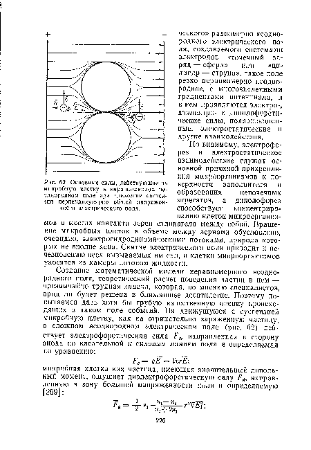 Основные силы, действующие на микробную клетку в неравномерном неоднородном поле при движении суспензии перпендикулярно общей напряженности электрического поля.