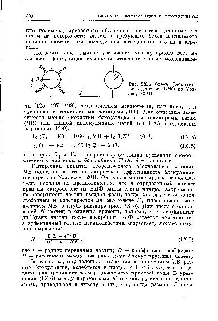 Схема флокирую-щего действия ВМФ по Уоллесу [201]