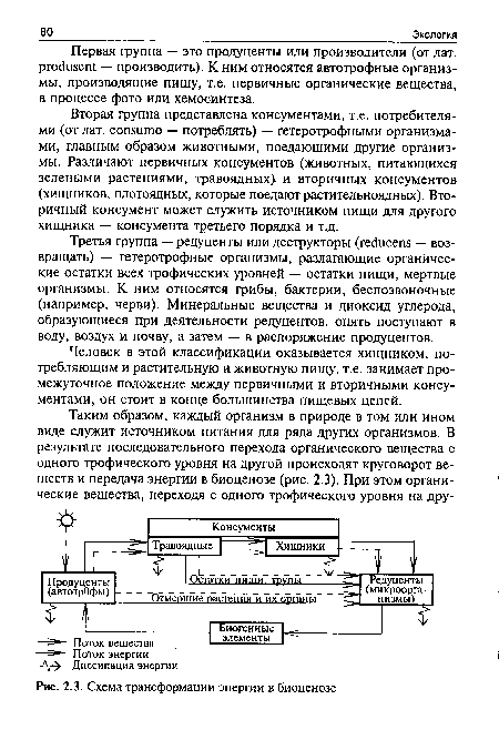 Третья группа — редуценты или деструкторы (reducens — возвращать) — гетеротрофные организмы, разлагающие органические остатки всех трофических уровней — остатки пищи, мертвые организмы. К ним относятся грибы, бактерии, беспозвоночные (например, черви). Минеральные вещества и диоксид углерода, образующиеся при деятельности редуцентов, опять поступают в воду, воздух и почву, а затем — в распоряжение продуцентов.