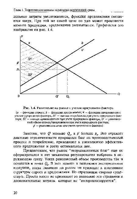 Равновесие на рынке с учетом природного фактора