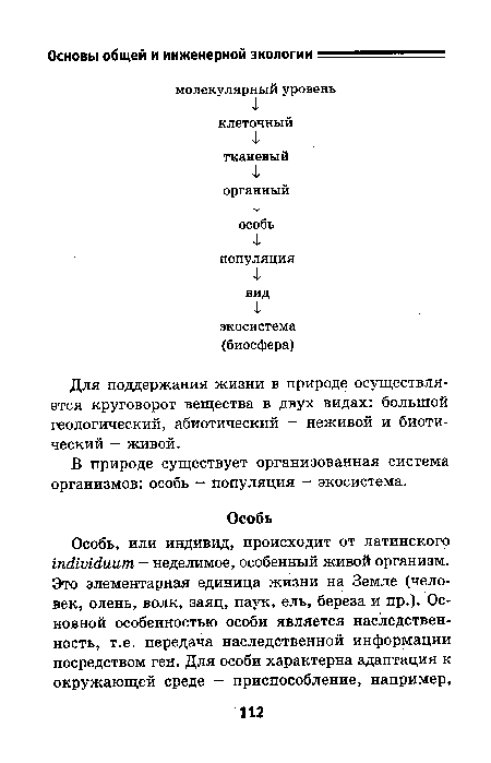 В природе существует организованная система организмов: особь — популяция — экосистема.