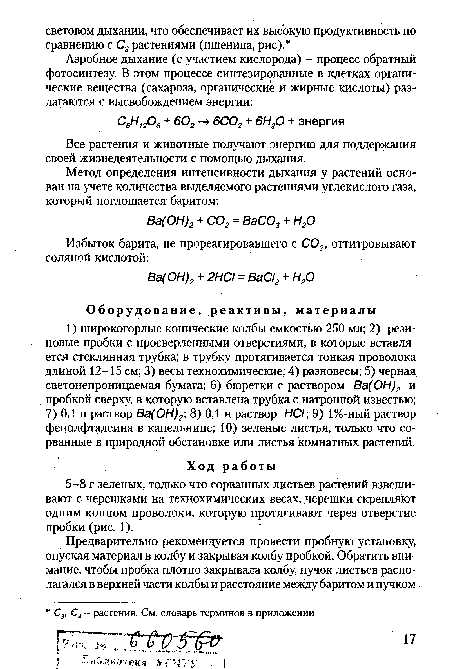 Все растения и животные получают энергию для поддержания своей жизнедеятельности с помощью дыхания.