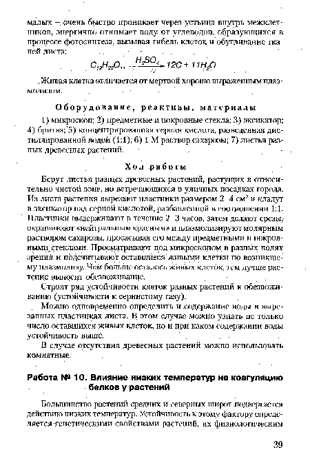 В случае отсутствия древесных растений можно использовать комнатные.