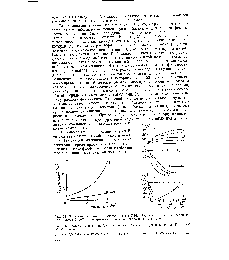 Изотермы адсорбции (а), ¡¡-потенциал (б) и п/п0 суспензии клеток E. coli (в), обработанных