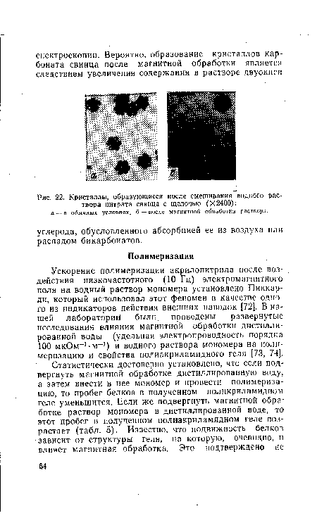 Кристаллы, образующиеся после смешивания водного раствора нитрата свинца с щелочью (Х2400)