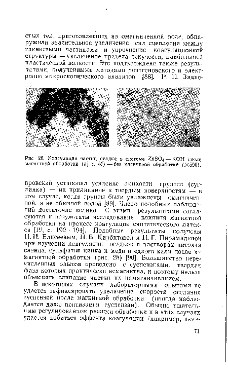 Коагуляция частиц осадка в системе 2п504 — КОН после магнитной обработки (а) и (б)—без магнитной обработай (Х500).