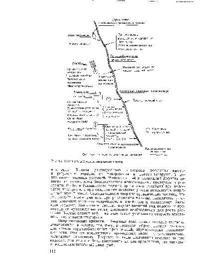 Основные источники загрязнения воды