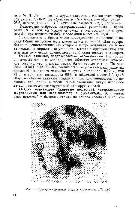 Структура первичных осадков (увеличение в 70 раз)