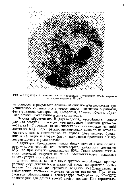 Структура активного ила из вторичных отстойников после аэрогенное (увеличение в 70 раз)
