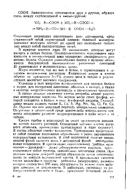 Соединение нескольких аминокислот дает полипептид, представляющий собой структурный элемент белковой молекулы. Белковая молекула состоит из одной или нескольких связанных между собой полипептидных цепей.