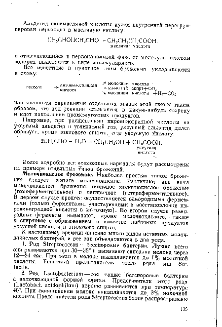 Молочнокислое брожение. Наиболее простым типом брожения следует считать молочнокислое. Различают два вида молочнокислого брожения: типичное молочнокислое брожение (гомоферментативное) и нетипичное (гетероферментативное). В первом случае процесс осуществляется однородными ферментами (только ферментами, участвующими в восстановлении пировиноградной кислоты в молочную). Во втором случае разнородные ферменты вызывают, кроме молочнокислого, также и спиртовое с образованием в качестве побочных продуктов уксусной кислоты и этилового спирта.