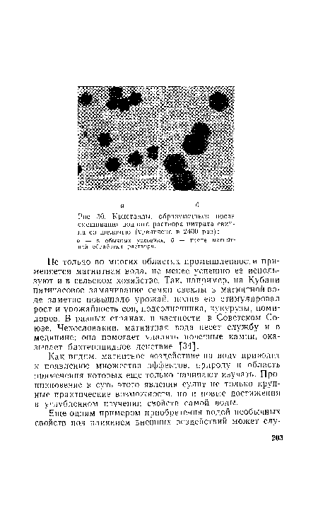 Кристаллы, образующиеся после смешивания водного раствора нитрата свинца со шелочью (увеличено в 2400 раз)