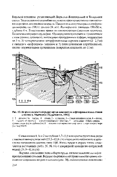 Скважинами 1,1а и 2 на глубине 1,7—5,9 мвскрыты грунтовые воды с высокой минерализацией (23,2—85,8 г/л) хлоридного натриевого и кальциево-натриевого состава типа Шб. Ниже пруда в овраге также отмечаются источники (табл. 26, № 16) с хлоридной кальциево-натриевой водой (36,9—41,6 г/л).